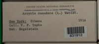 Image Associated With the Occurence